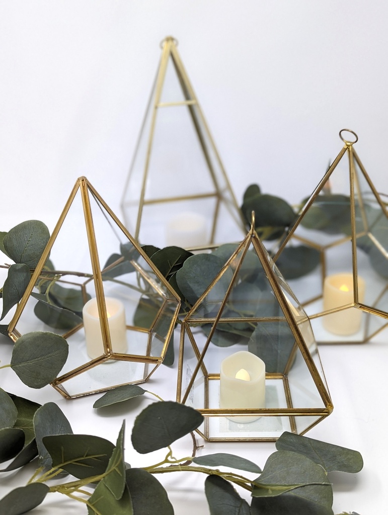 Gold Terrarium