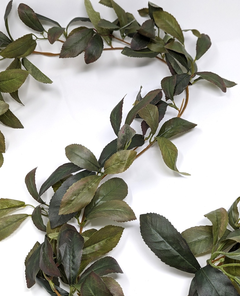 Ruscus Garland