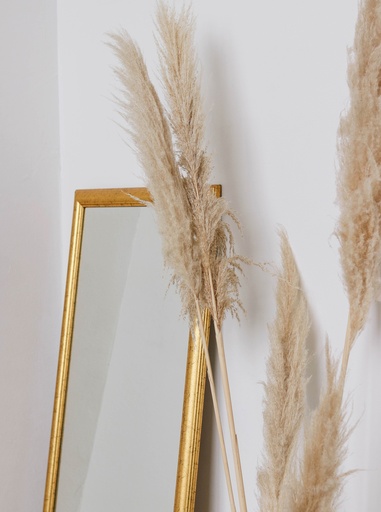 Mirror Gold Frame