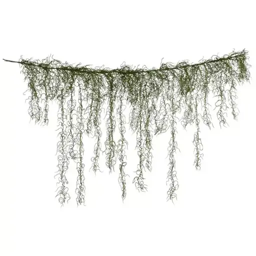 Spanish Moss garland